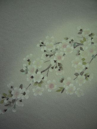桜帯2011-1.jpg