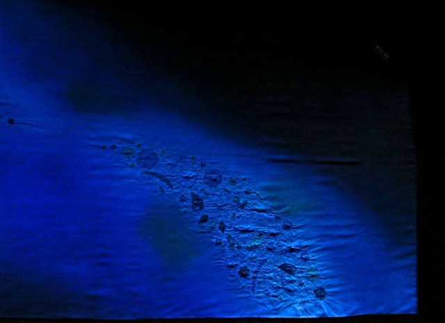 シルクギャラリーのトレードマーク「ブルー」コーデ満開の着姿です。大判のストール は幅100cm長さ180~200cmを基本としています。